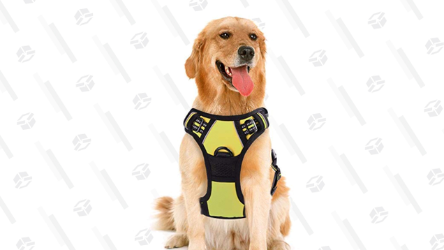 Don’t hook a leash into your dog’s collar, instead, strap them into a Rabbitgoo Dog No-Pull Pet Harness and keep them from hurting their neck.